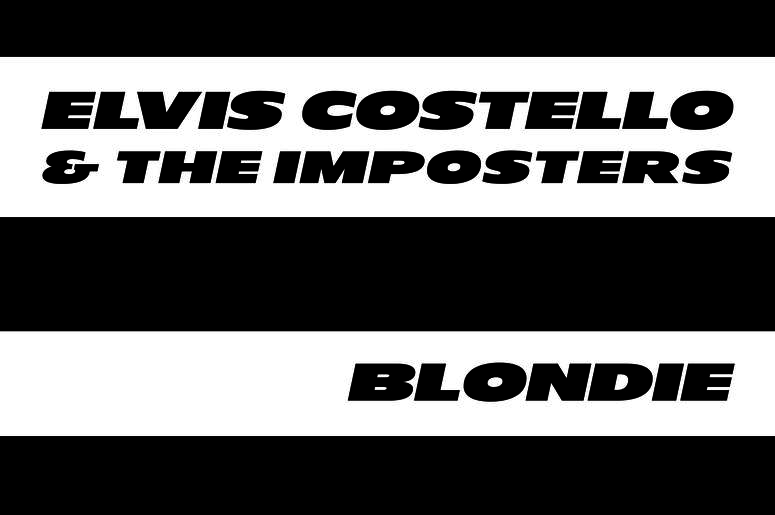Elvis Costello