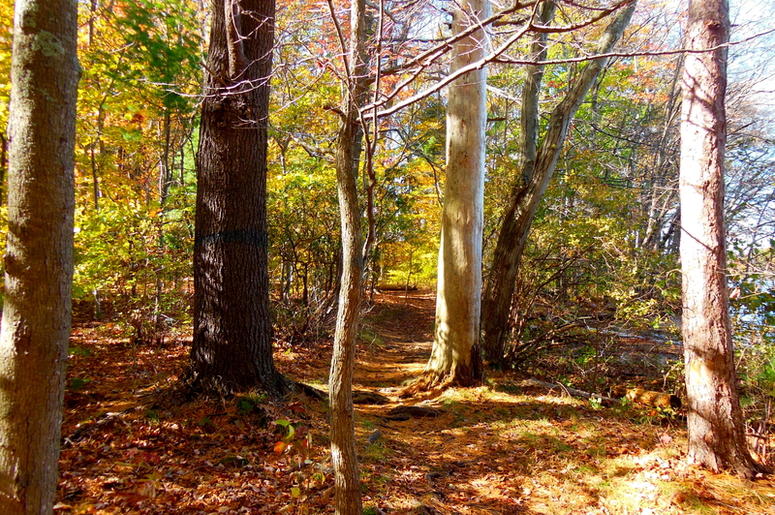 Autumn hiking trails