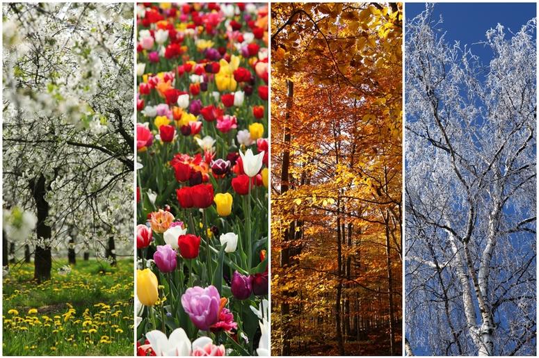 FOUR SEASONS FOUR SEASONS