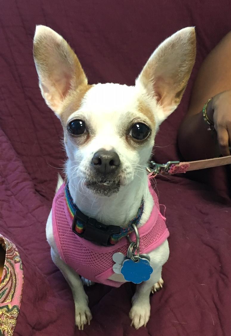 Molly