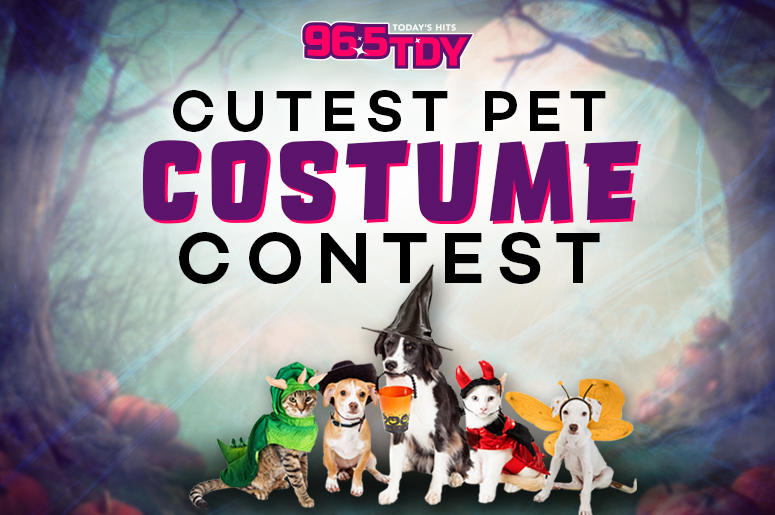 96.5 TDY's Cutest Pet Costume Contest 96.5 TDY's Cutest Pet Costume Contest Halloween Spooky Enter