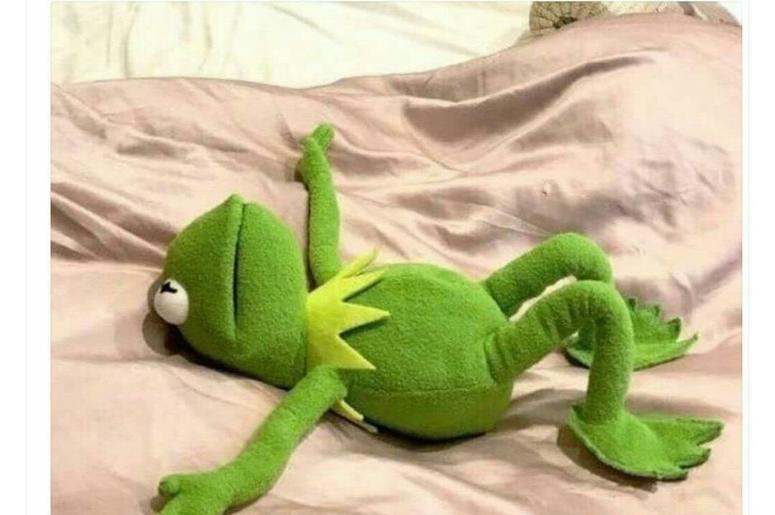 Kermit exhausted Kermit exhausted