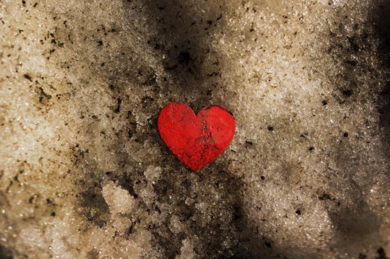 Heart Heart