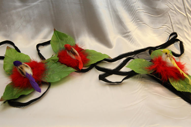 Panties Panties