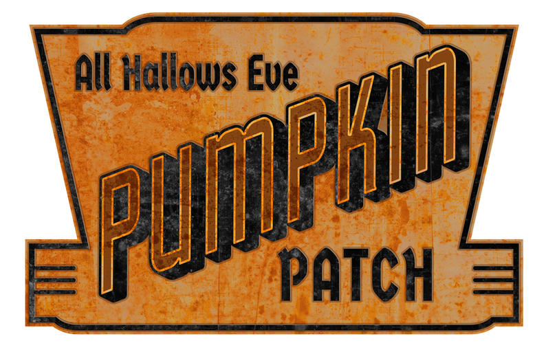 Pumpkin Patch Pumpkin Patch