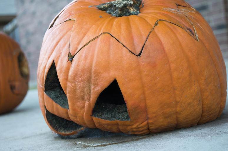 Smashed Pumpkin Smashed Pumpkin