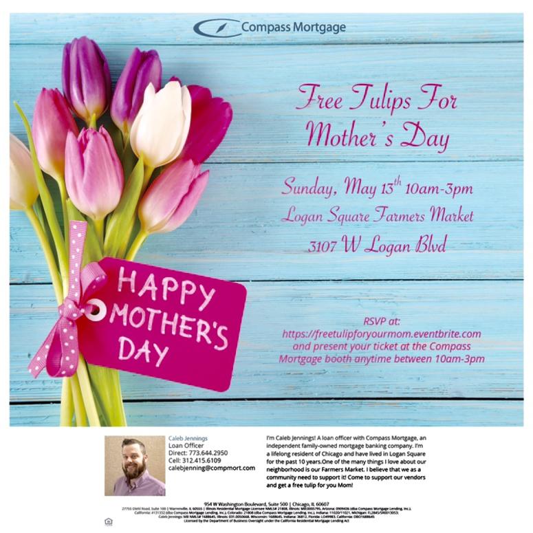 Free Tulips for Mother's Day Free Tulips for Mother's Day