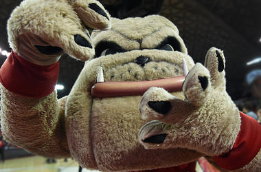UGA Bulldogs UGA Bulldogs