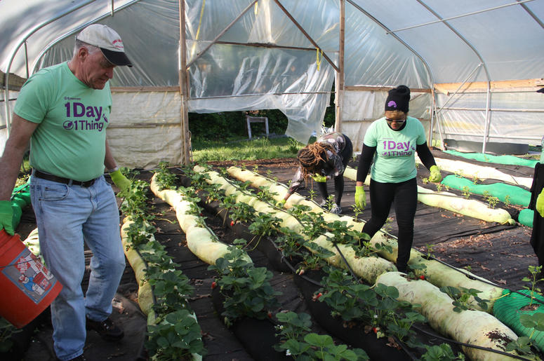 V-103 and Entercom Atlanta employees volunteer at Urban Farms in College Park, GA, on Earth Day 2019 V-103 and Entercom Atlanta employees volunteer at Urban Farms in College Park, GA, on Earth Day 2019
