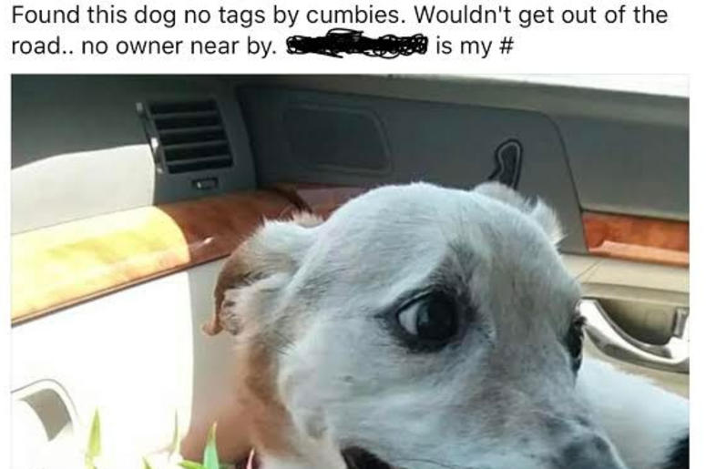 Bailey Bailey
