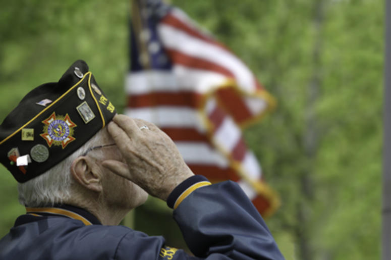 Veteran Salute Veteran Salute