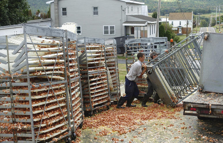 Crews work to clean tens of thousands of eggs Crews work to clean tens of thousands of eggs