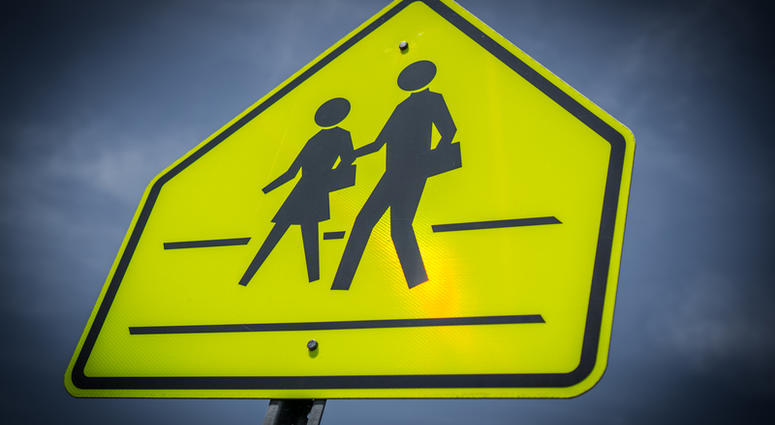 School crossing sign School crossing sign