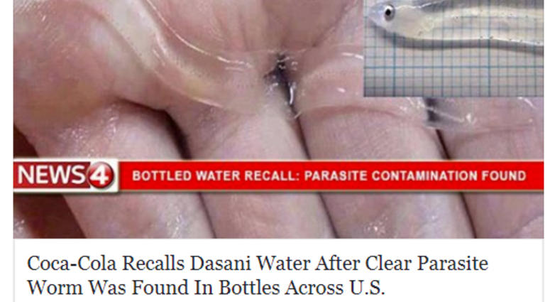fake parasite story fake parasite story