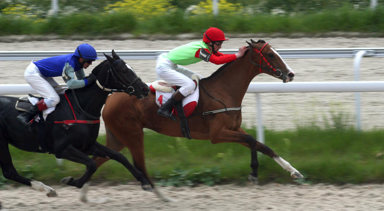 horse racing horse racing