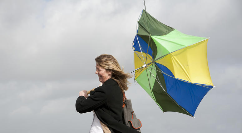 windy windy