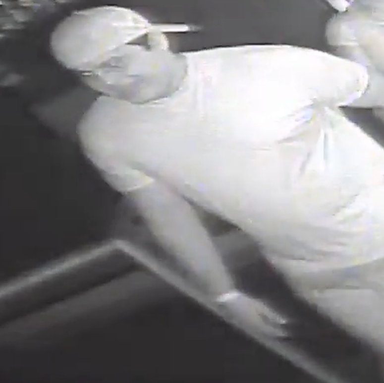 Elektricity CSC Suspect Elektricity CSC Suspect