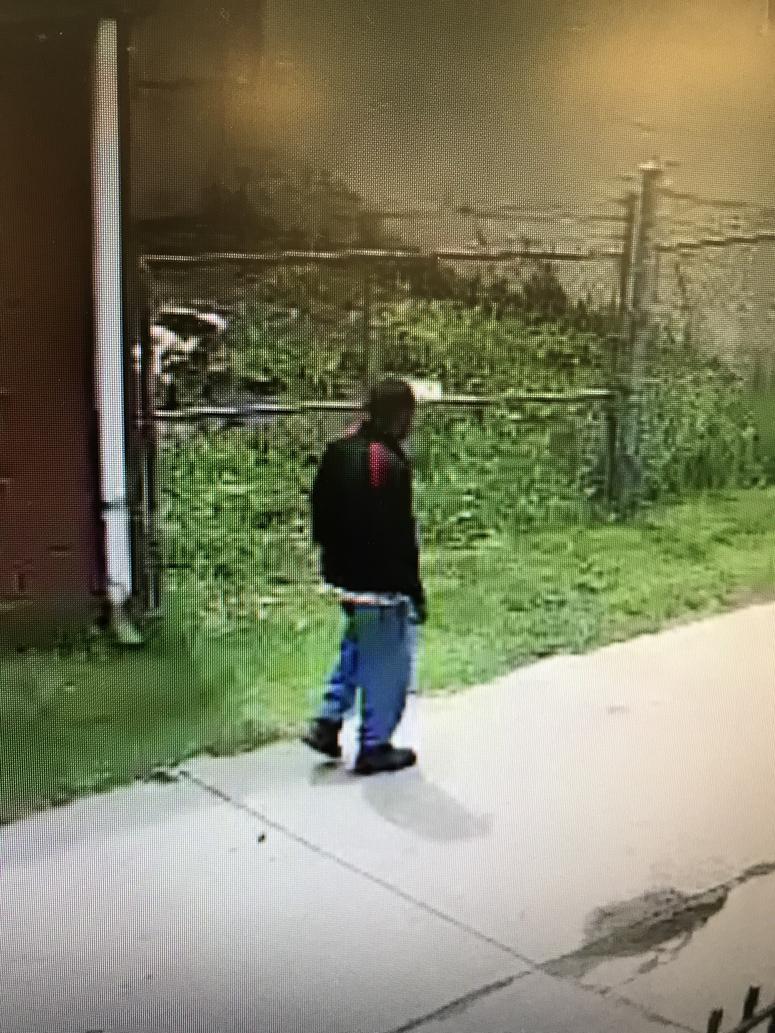 Fenkell and Lauder murder suspect Fenkell and Lauder murder suspect