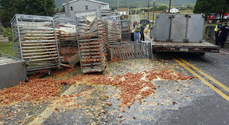 Smashed eggs clutter Route 125 Smashed eggs clutter Route 125