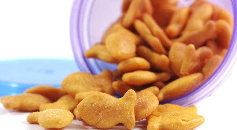 goldfish crackers goldfish crackers