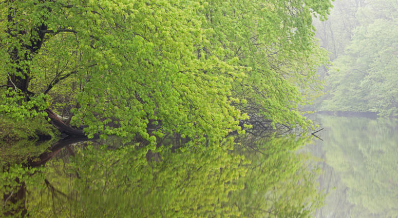 Kalamazoo River Kalamazoo River
