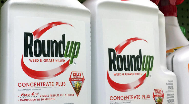 Roundup, a weed killer made by Monsanto - AP Roundup, a weed killer made by Monsanto - AP