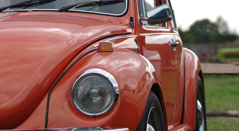 Beetle Beetle