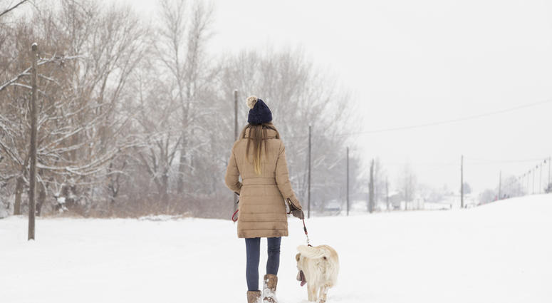 Walking in the snow Walking in the snow