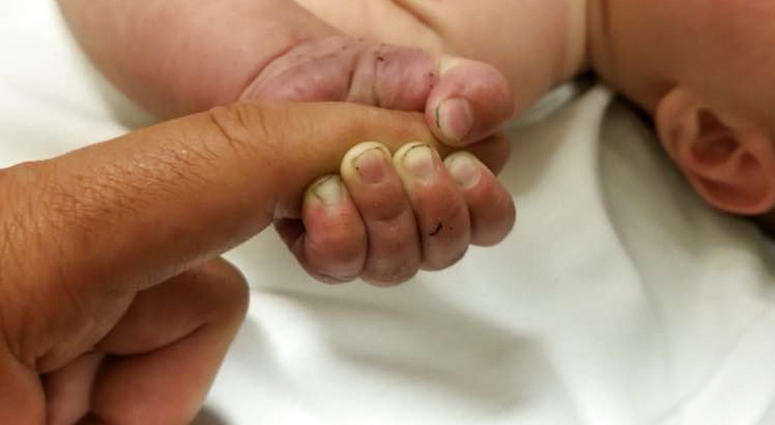 baby survives in woods AP baby survives in woods AP