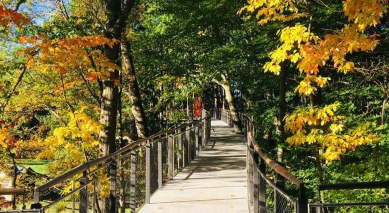 Dow Gardens Christmas Walk 2019 America's Longest Canopy Walk Is Right Here In Michigan At Dow Dow Gardens Christmas Walk 2019 America's Longest Canopy Walk Is Right Here In Michigan At Dow