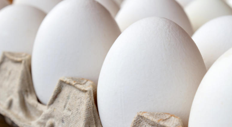 eggs eggs