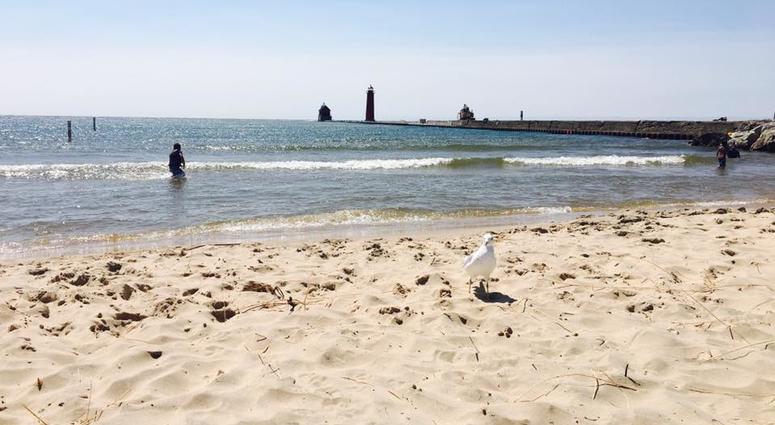 Lake Michigan - Grand Haven State Park Beach Lake Michigan - Grand Haven State Park Beach