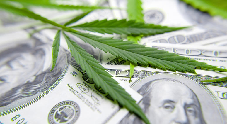 marijuana business marijuana business