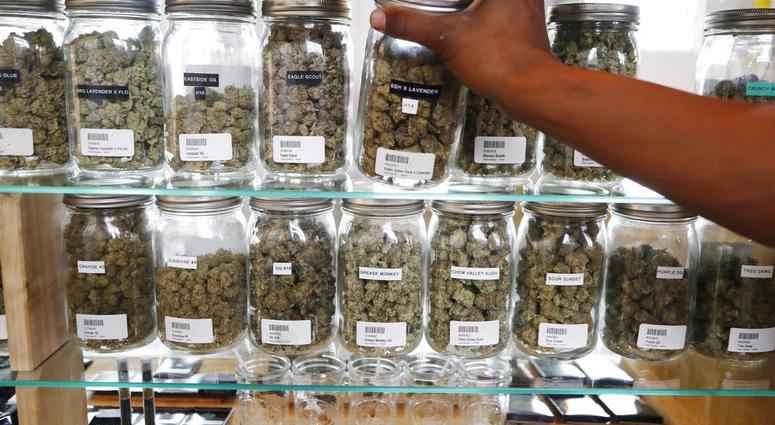 marijuana dispensary marijuana dispensary