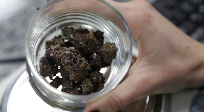 marijuana AP marijuana AP