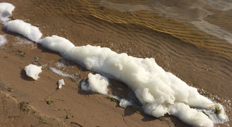 PFAS foam PFAS foam