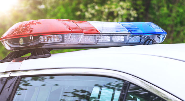 police car police car