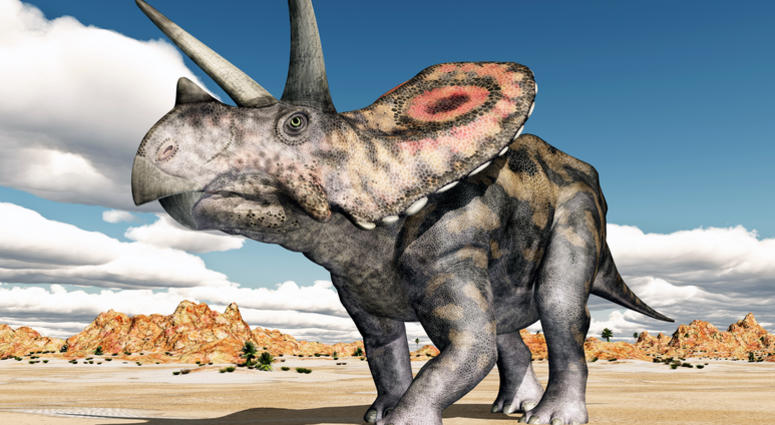 Torosaurus Torosaurus