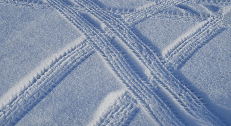 tracks in snow tracks in snow