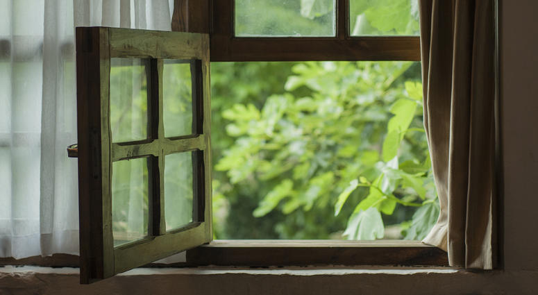 window window