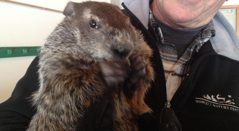 Woody the Woodchuck Woody the Woodchuck
