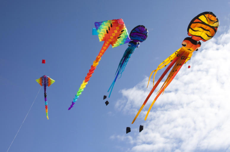 kites