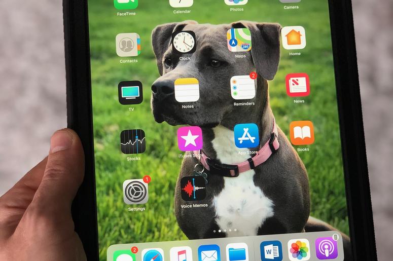 Apple Apps Apple Apps