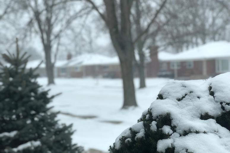 Snow Day Snow Day