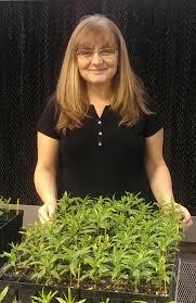 Ksenija Gasic, Associate Professor of Horticulture at Clemson University working with Peach Genetics and Breeeding Clemson University geneticist Ksenija Gasic