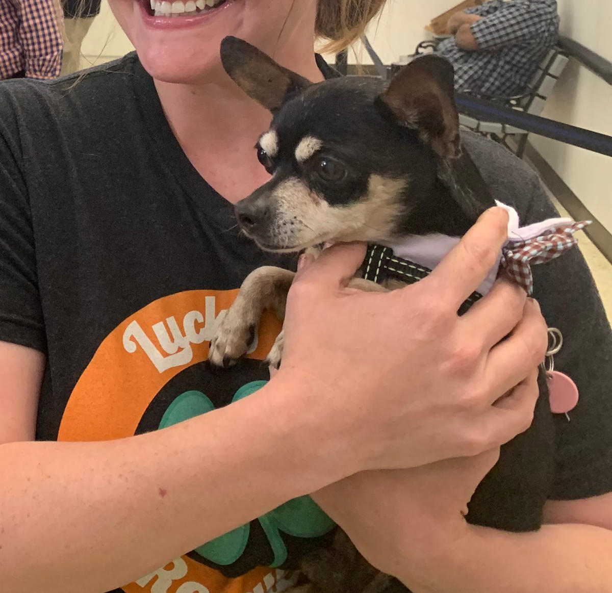 Stolen pup from Aloft, Zoro, was recovered Stolen pup, Zoro, was recovered