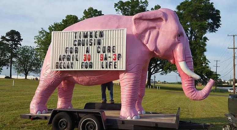 Myrtle the Pink Elephant Myrtle the Pink Elephant