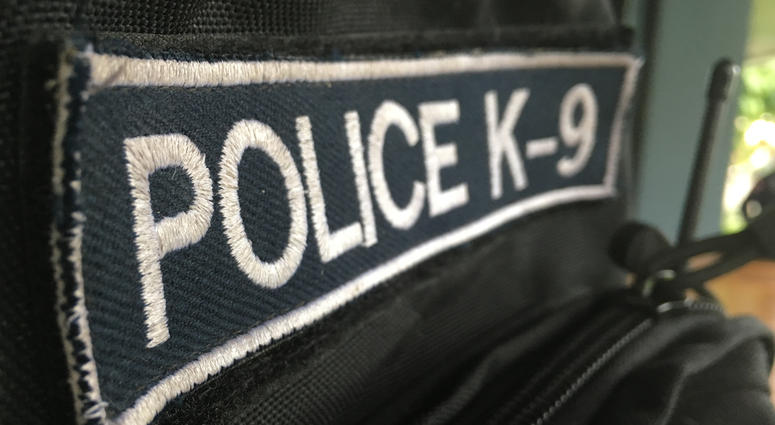 K-9 Deputy Leo grabs hold of Cortland Nesbit after 4 1/2 hour standoff