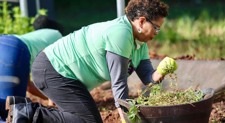 1Day1Thing Earth Day 2019 Metro Atlanta Urban Farm 1Day1Thing Earth Day 2019 Metro Atlanta Urban Farm