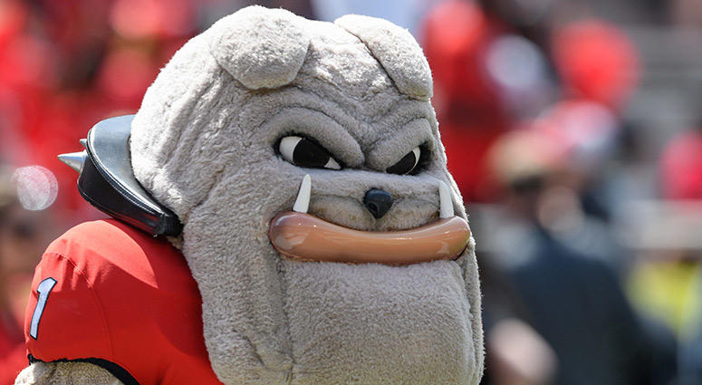 Georgia Bulldogs mascot Hairy Dawg Georgia Bulldogs mascot Hairy Dawg